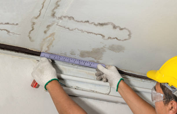 Reliable Mold Remediation contractor in Shapleigh, ME by Water Damage Irwin